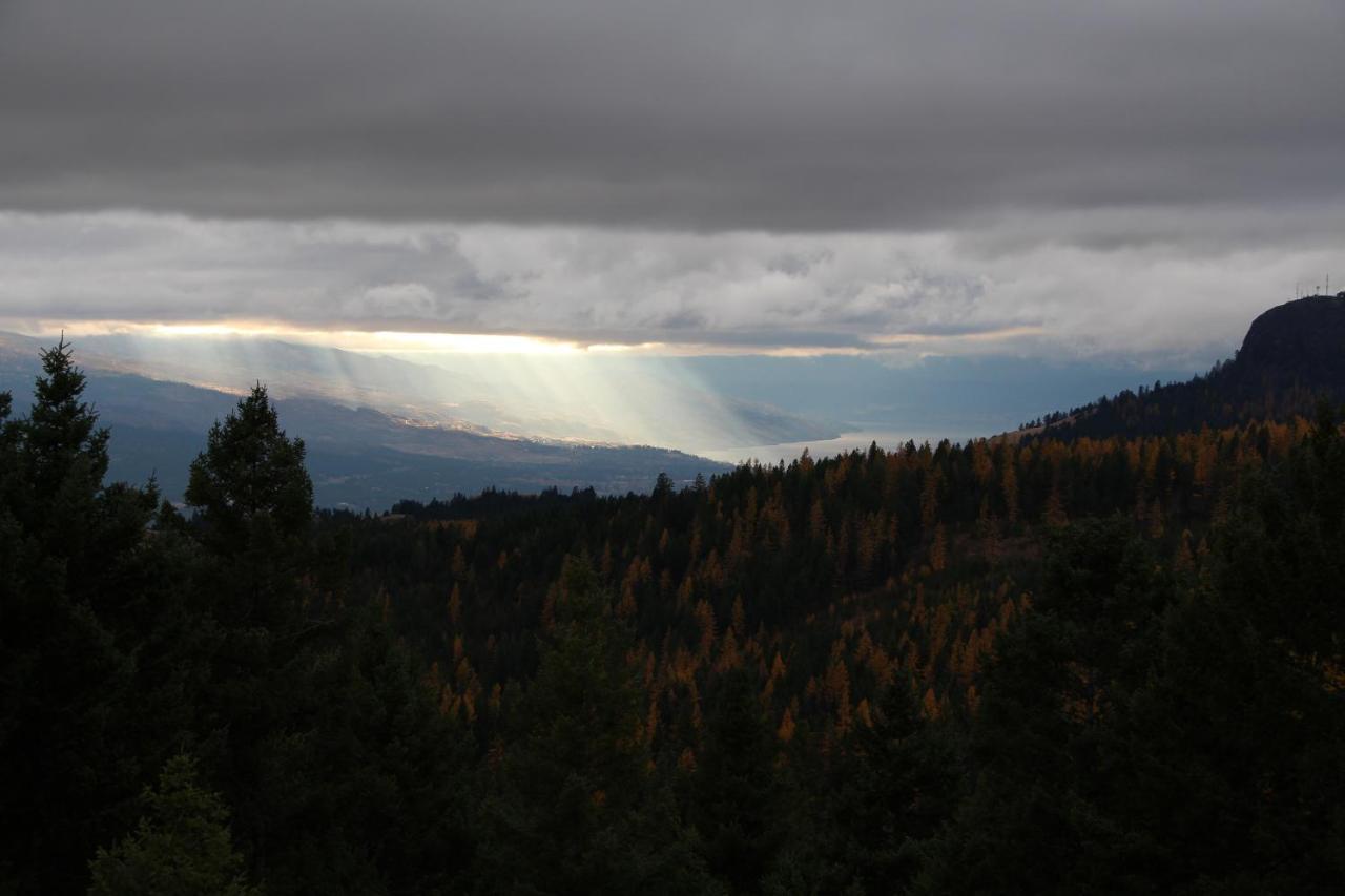 Wild Nature B&B Kelowna Kültér fotó