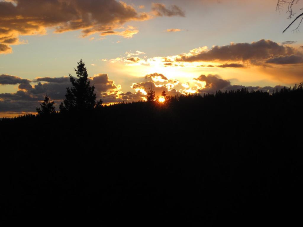 Wild Nature B&B Kelowna Kültér fotó