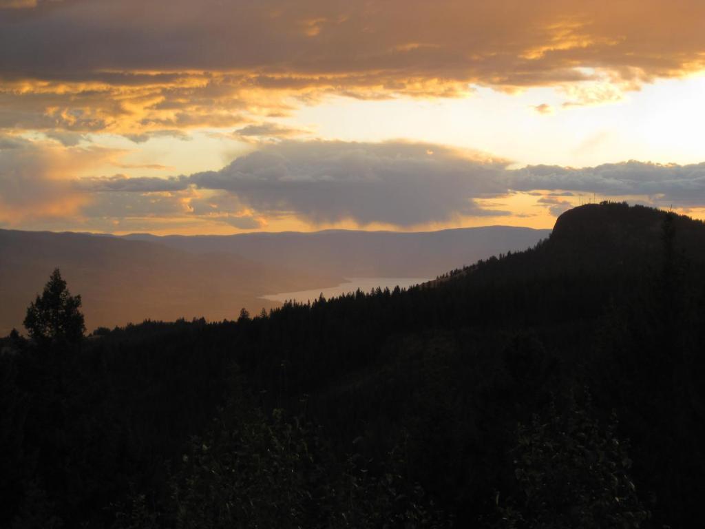 Wild Nature B&B Kelowna Kültér fotó